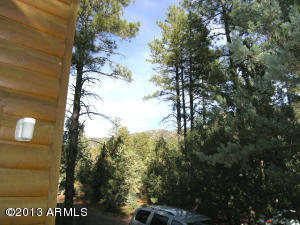 3753 N Elk Rub Ln, Pine, AZ 85544 photo 28