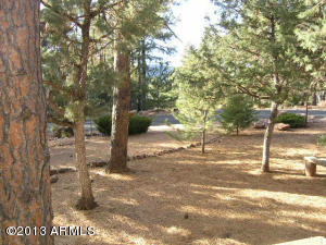 3753 N Elk Rub Ln, Pine, AZ 85544 photo 34