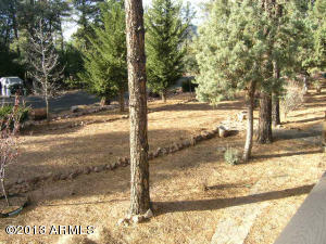 3753 N Elk Rub Ln, Pine, AZ 85544 photo 33