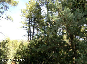 3753 N Elk Rub Ln, Pine, AZ 85544 photo 29