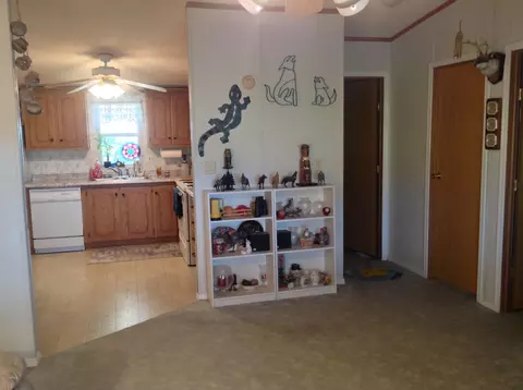 9806 E Flanders Rd, Mesa, AZ 85207 photo 37