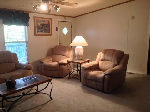 9806 E Flanders Rd, Mesa, AZ 85207 photo 34