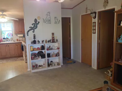 9806 E Flanders Rd, Mesa, AZ 85207 photo 38