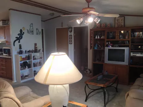 9806 E Flanders Rd, Mesa, AZ 85207 photo 36