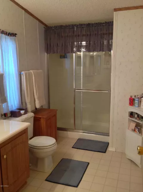 9806 E Flanders Rd, Mesa, AZ 85207 photo 43