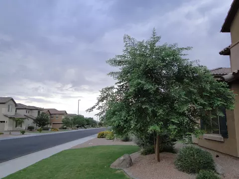 3160 E Andre Ave, Gilbert, AZ 85298 photo 25