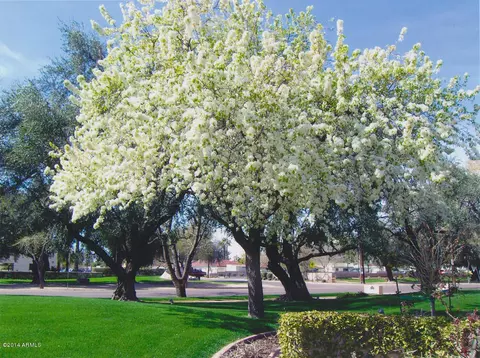 6325 N Central Ave, Phoenix, AZ 85012 photo 29