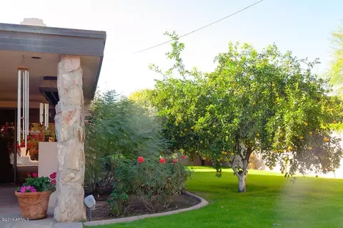 6325 N Central Ave, Phoenix, AZ 85012 photo 60