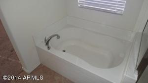 11310 E Shelley Ave, Mesa, AZ 85212 photo 33