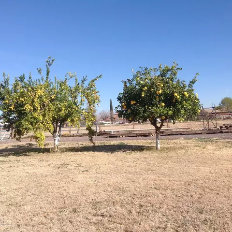 2925 E Superstition Dr, Gilbert, AZ 85297 photo 6