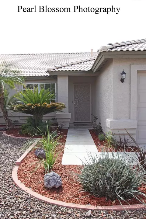 6533 E Menlo St, Mesa, AZ 85215 photo 3