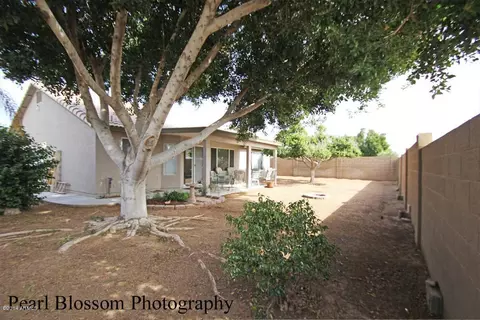 6533 E Menlo St, Mesa, AZ 85215 photo 28