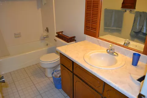 1509 S Palo Verde Dr, Apache Junction, AZ 85120 photo 15