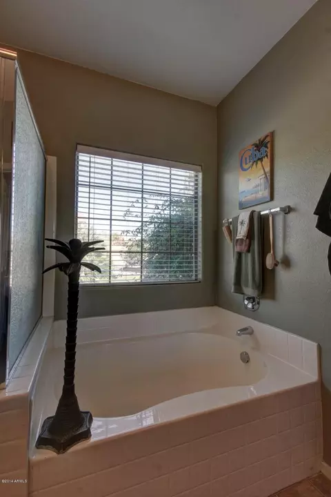 3478 E Flower St, Gilbert, AZ 85298 photo 24
