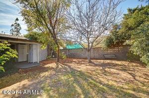 3102 E Yucca St, Phoenix, AZ 85028 photo 3