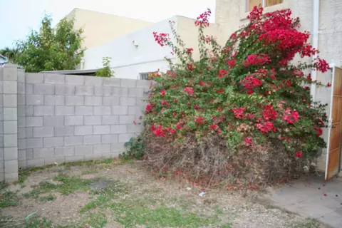 433 E Hidalgo Ave, Phoenix, AZ 85040 photo 29