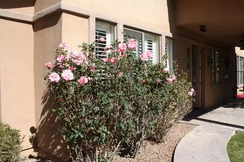 3041 E Linda Ln, Gilbert, AZ 85234 photo 34