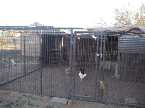 5323 E Greasewood St, Apache Junction, AZ 85119 photo 14