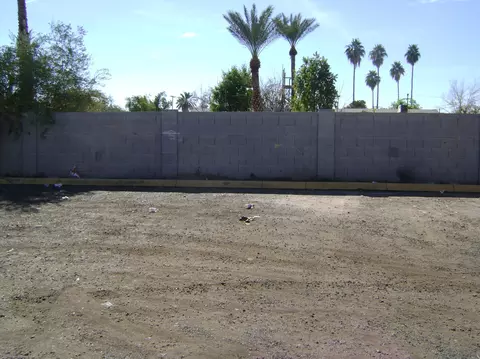 317 E Vine Cir, Mesa, AZ 85210 photo 10