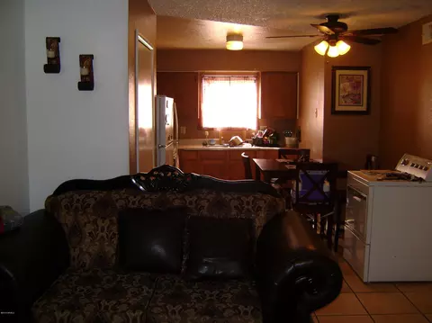 317 E Vine Cir, Mesa, AZ 85210 photo 2