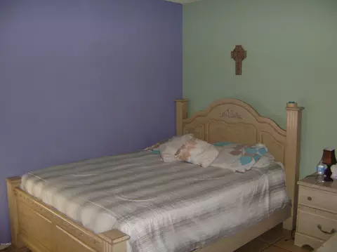 317 E Vine Cir, Mesa, AZ 85210 photo 7