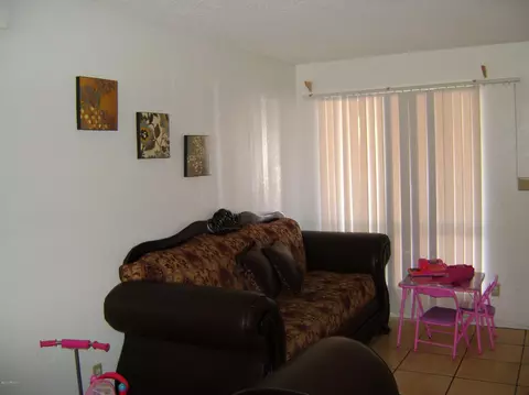 317 E Vine Cir, Mesa, AZ 85210 photo 3