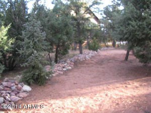 2367 Wildcat Cir, Overgaard, AZ 85933 photo 19