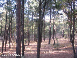 2367 Wildcat Cir, Overgaard, AZ 85933 photo 18