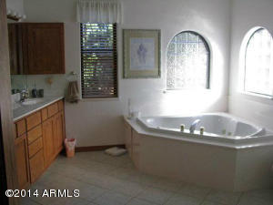 2367 Wildcat Cir, Overgaard, AZ 85933 photo 10