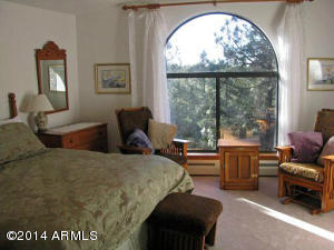 2367 Wildcat Cir, Overgaard, AZ 85933 photo 9