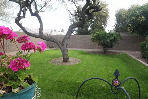 1872 W Lark Dr, Chandler, AZ 85286 photo 26