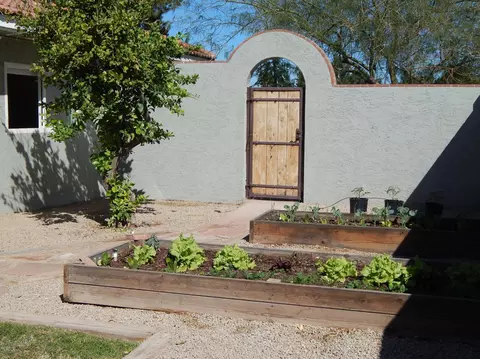 1431 E Halifax St, Mesa, AZ 85203 photo 55