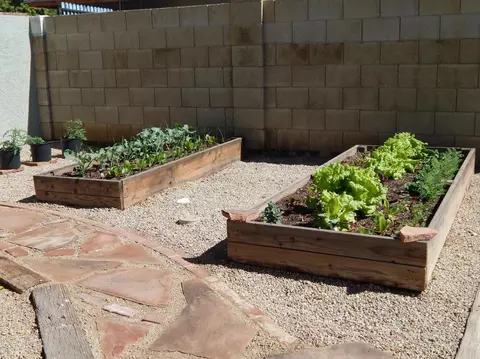 1431 E Halifax St, Mesa, AZ 85203 photo 56