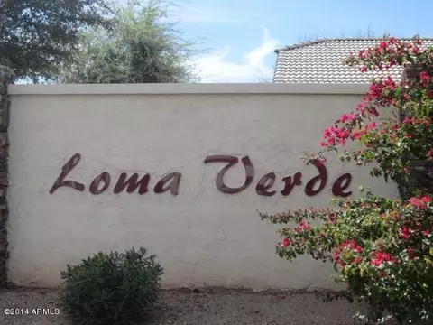 316 E Indigo St, Mesa, AZ 85201 photo 17