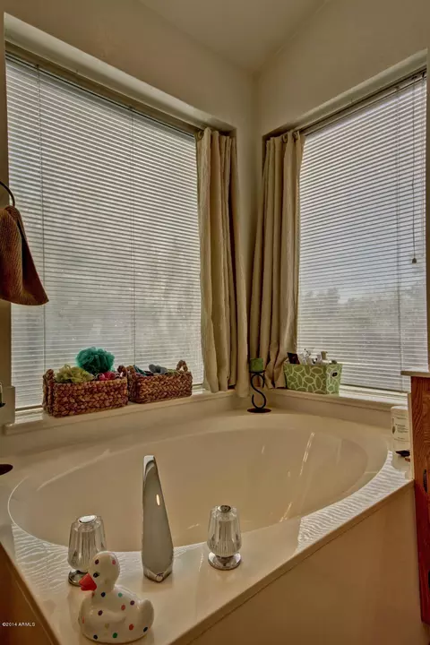 557 E Rawhide Ave, Gilbert, AZ 85296 photo 33