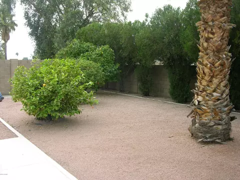 2607 E Bluefield Ave, Phoenix, AZ 85032 photo 10