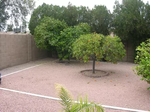 2607 E Bluefield Ave, Phoenix, AZ 85032 photo 12
