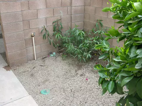 2607 E Bluefield Ave, Phoenix, AZ 85032 photo 9
