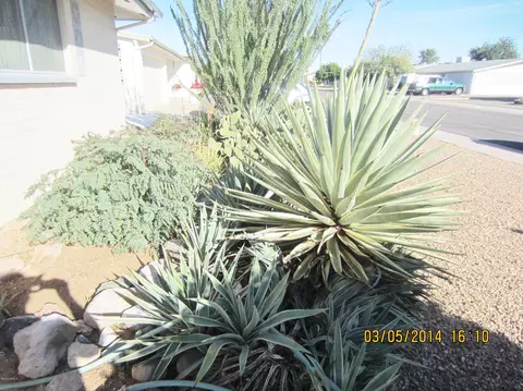 5666 E Dodge St, Mesa, AZ 85205 photo 3