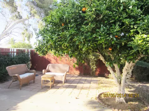 5666 E Dodge St, Mesa, AZ 85205 photo 19