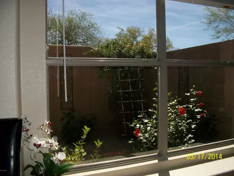 4418 E Mossman Rd, Phoenix, AZ 85050 photo 14