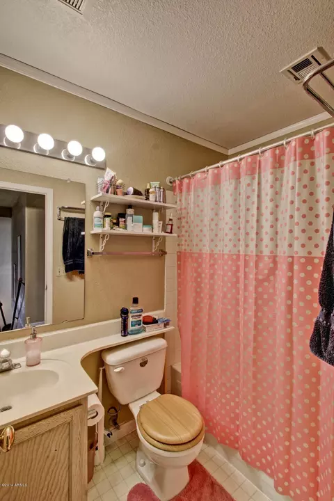 441 S Maple -- #3, Mesa, AZ 85206 photo 21