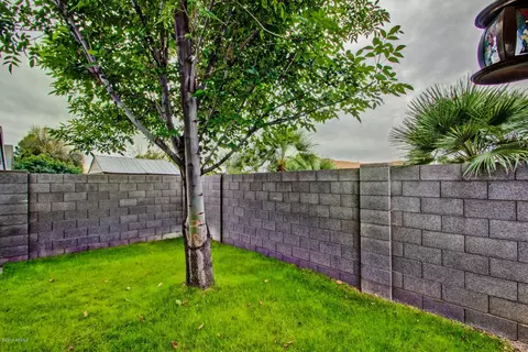 441 S Maple -- #3, Mesa, AZ 85206 photo 30