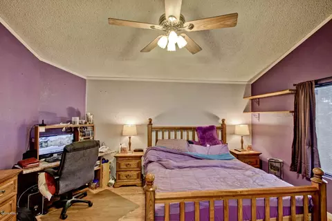 441 S Maple -- #3, Mesa, AZ 85206 photo 23