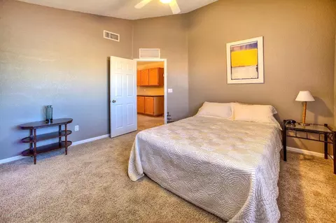 16802 S 37th Way, Phoenix, AZ 85048 photo 20