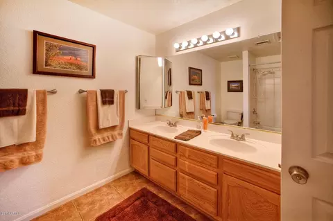 16802 S 37th Way, Phoenix, AZ 85048 photo 19