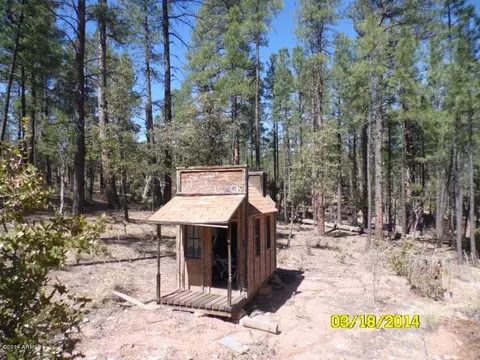 93 S Trails End Cir, Payson, AZ 85541 photo 33