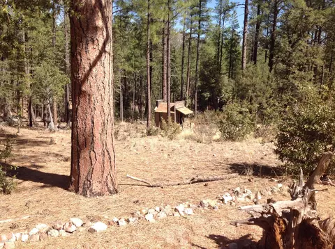 93 S Trails End Cir, Payson, AZ 85541 photo 5