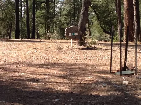 93 S Trails End Cir, Payson, AZ 85541 photo 14