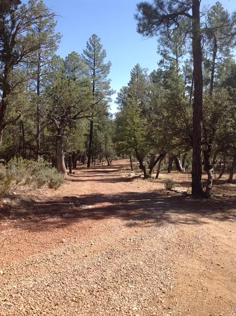93 S Trails End Cir, Payson, AZ 85541 photo 16